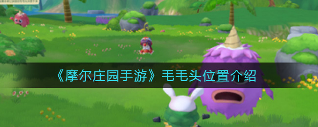 摩尔庄园手游毛毛头在哪(毛毛头位置介绍)