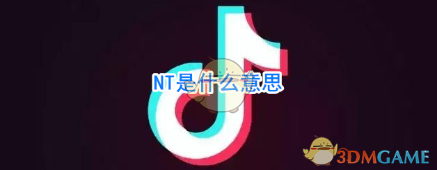 NT是什么意思(NT是什么梗)
