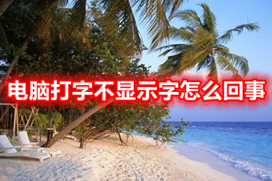 电脑打字不显示字怎么回事(电脑打字不显示字的原因及解决办法)