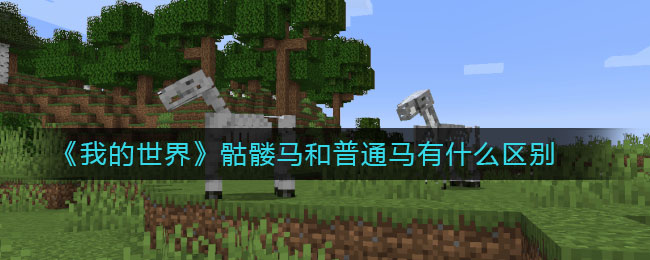 我的世界骷髅马和普通马有什么区别(骷髅马怎么获取)