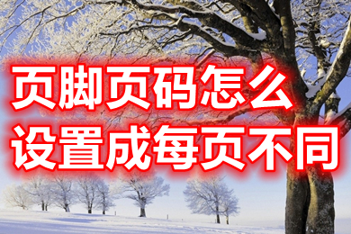 页脚页码怎么设置成每页不同(word设置页脚页码每页不同的方法介绍)