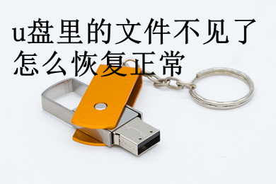 u盘里的文件不见了怎么恢复正常(恢复u盘里的文件的方法介绍)