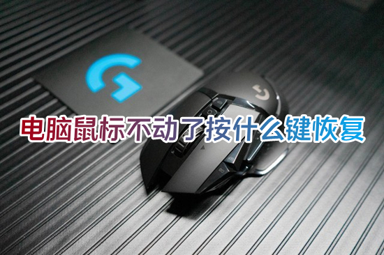 电脑鼠标不动了按什么键恢复(电脑鼠标点击没反应怎么办)