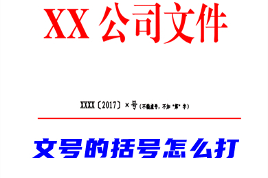 文号的括号怎么打(公文六角括号在word里怎么打)