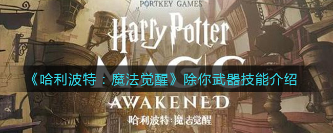 哈利波特魔法觉醒除你武器怎么样(除你武器技能介绍)