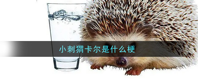 小刺猬卡尔是什么梗(小刺猬卡尔梗的意思及出处介绍)