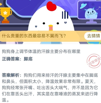 狗狗身上调节体温的汗腺主要分布在哪里(7月21日支付宝庄园小课堂答案)