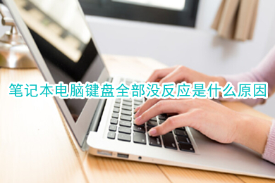 笔记本电脑键盘全部没反应是什么原因(笔记本放久了键盘失灵解决办法)