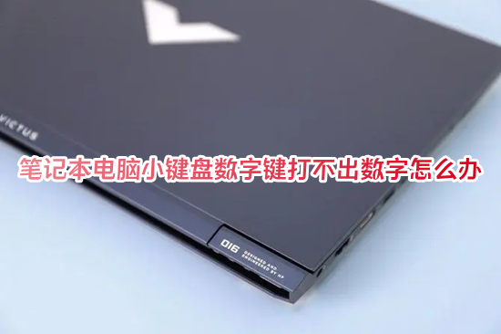 笔记本电脑小键盘数字键打不出数字怎么办(小键盘的数字打不出来按哪个键)