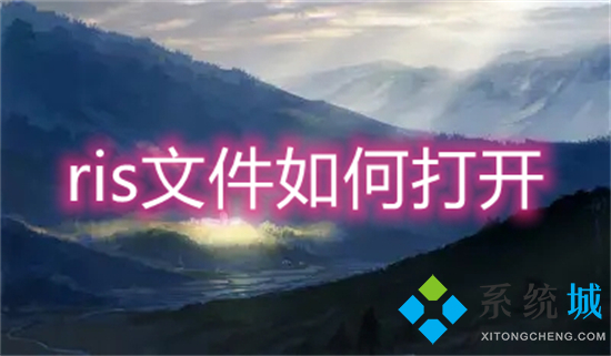 ris文件怎么打开(ris文件怎么打开)