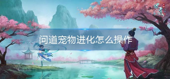 问道宠物进化怎么操作(宠物进化方法介绍)