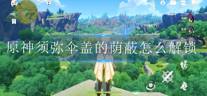 原神须弥伞盖的荫蔽怎么解锁(伞盖的荫蔽秘境解锁攻略)