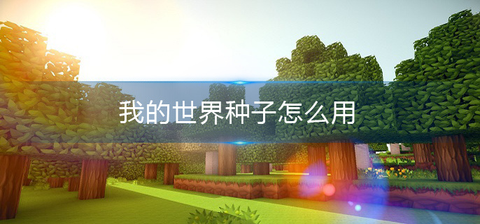 我的世界种子怎么用(种子使用步骤)
