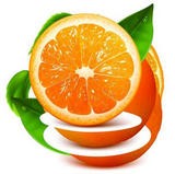 橙子视频安卓版下载(橙子视频下载app)