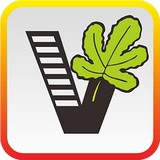 我要自学网安卓版下载(我要自学网app下载)