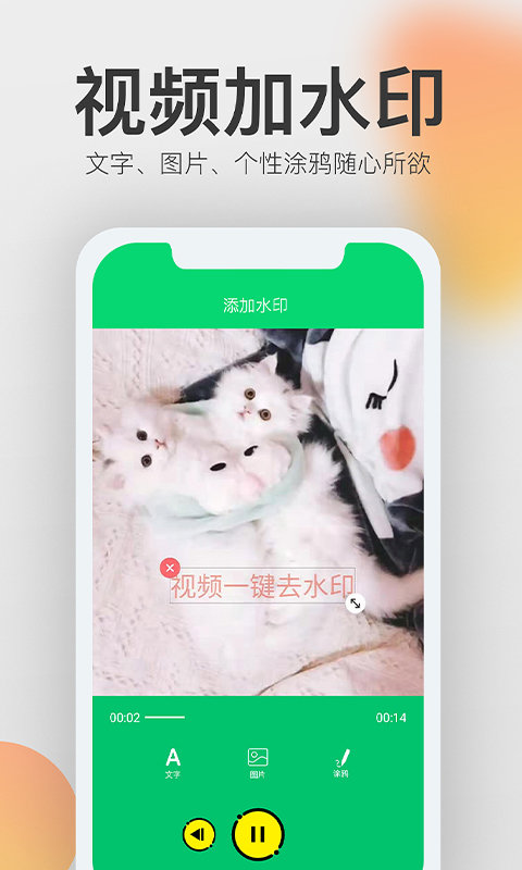 视频一键去水印客户端下载
