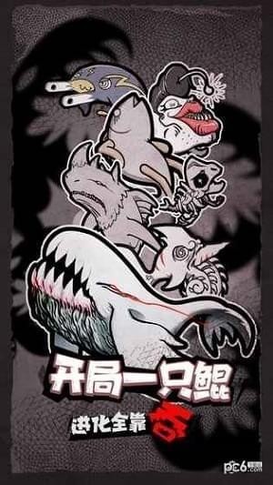 开局一只鲲