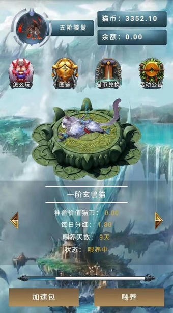 玄猫