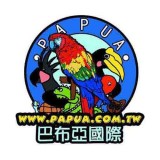 巴布亚国际安卓版下载(巴布亚国际app下载)