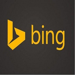 微软bing搜索国际版下载(微软必应国际版下载)