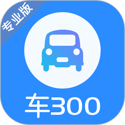 车300专业版app下载(车300专业版官方版下载)