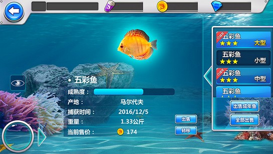 全民钓鱼2手游
