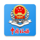 大连税务安卓版下载(大连税务app下载)