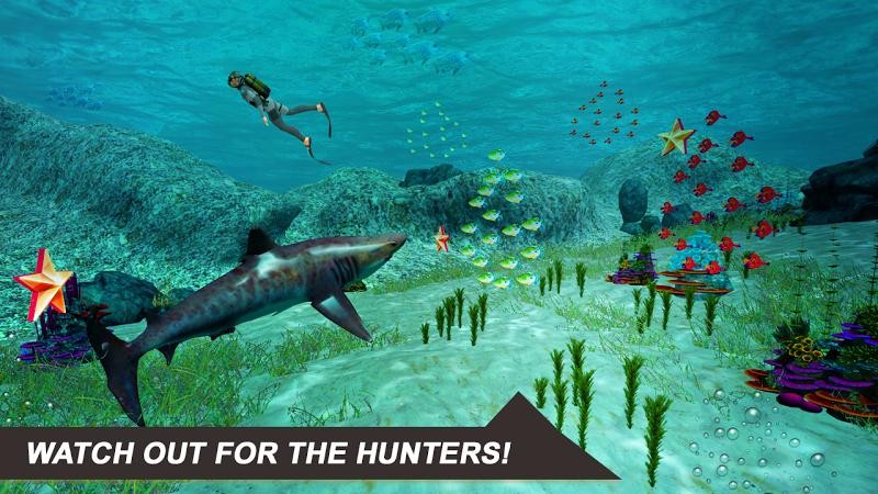 大白鲨模拟器shark sim v1.0 安卓版 0