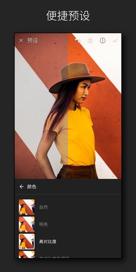 lightroom手机修图软件免费版 v7.5.1 中文版 3
