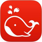 快游安卓版下载(快游下载app下载)