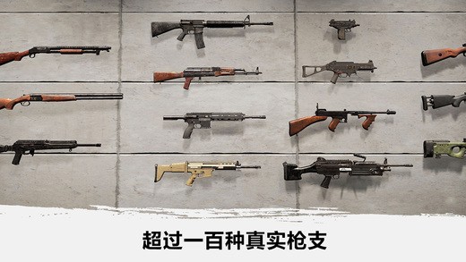绝地吃鸡手游