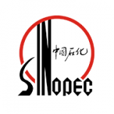 加油中石化安卓版下载(加油中石化app下载)