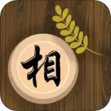 天天象棋大师安卓版(天天象棋大师app下载)