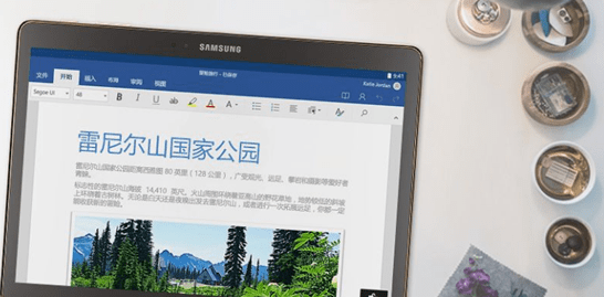 Microsoft Office 2019