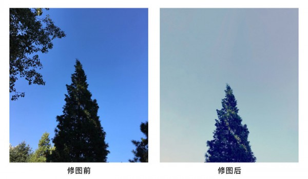 retouch下载