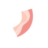bacon安卓版下载(bacon游戏下载)