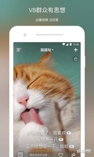 V8实拍app下载