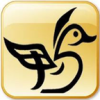 鸭子网安卓版v0.0.2(鸭子网app下载)