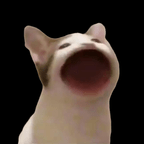 PopCat安卓版下载(PopCat游戏下载)