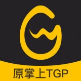掌上WeGame安卓版(掌上wegameapp下载)