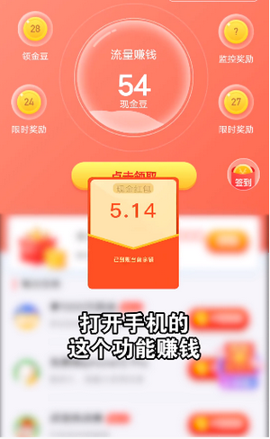 流量王赚钱版