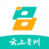 贵州政务服务网安卓版(贵州政务服务网app下载)