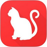 云养猫安卓版下载(云养猫app下载)
