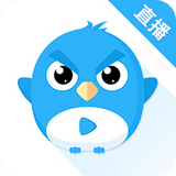 小鹰直播电视版下载(小鹰直播tv版apk下载)