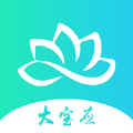 大宝应安卓版下载(大宝应app下载)