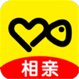 伊对安卓版(伊对app下载)