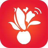 iShanghaii上海安卓版下载(ishanghai客户端下载)