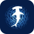 海洋大猎杀安卓版v0.9.77(海底大猎杀手游中文版下载)