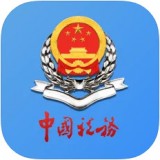 新疆税务安卓版下载(新疆税务app下载)
