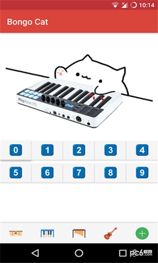 BongoCat